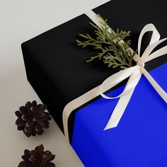 a blue gift box with a white ribbon tied around it and two pine cones next to it