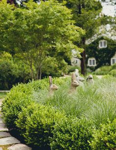 Furtherlane — Whitmores Inc Garden Countryside, Greener Grass, Narrow Garden, Stone Path, Have Inspiration, Back Garden, English Garden, Garden Spaces, Garden Statues