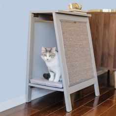 a cat sitting on top of a wooden shelf next to a cabinet with a door