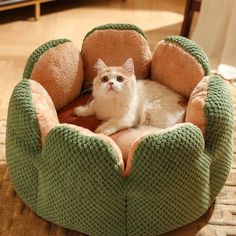 a white cat laying in a green and brown pet bed