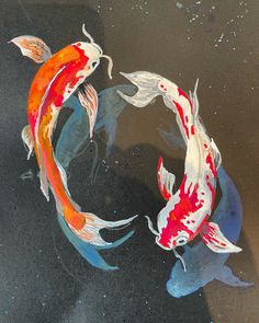 two orange and white koi fish are swimming in the water with their tails curled up