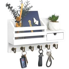 a white shelf with key hooks and keys hanging from it's sides next to a potted plant