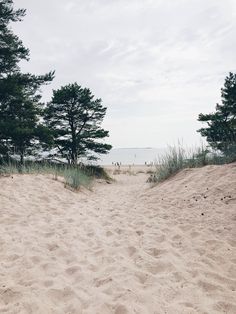 a sandy beach with trees and grass on the shore in the distance is a body of water