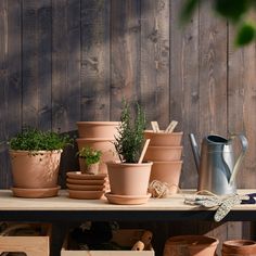 many pots and plants are sitting on a table with wood planks behind the planters