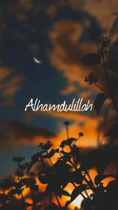 an image of the sky with clouds and plants in it that reads, anandellillah