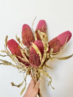 a person is holding a bunch of flowers in their hand and the stems are red