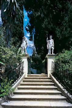 there are many statues on the steps in front of some trees and bushes with blue sky behind them