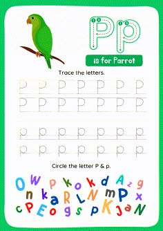 the letter p is for parrot worksheet with an image of a bird on a branch