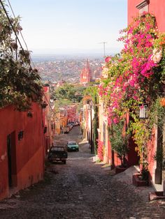 an alley way with cars parked on both sides and flowers growing all over the street