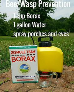 a bottle of borax next to a container of water and a box of borax