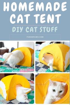 the instructions for how to make a homemade cat tent that looks like it has been built into