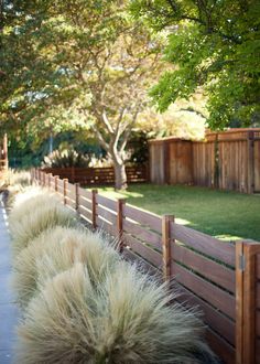 the grass is growing on the side of the wooden fence near the sidewalk and trees