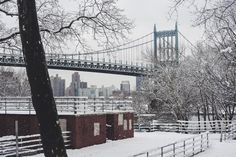 snow covers the ground and trees in front of a bridge