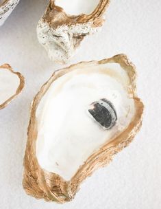 three open oysters sitting on top of a white tablecloth covered floor next to each other