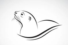 an animal seal on white background