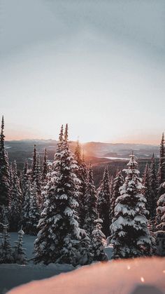 the sun is setting over some snow covered trees