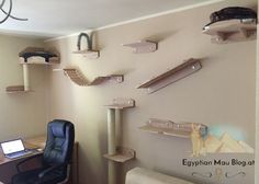 a room with a desk, chair and cat tree