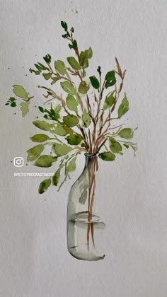 a watercolor painting of a vase filled with green leaves and branches on a white background