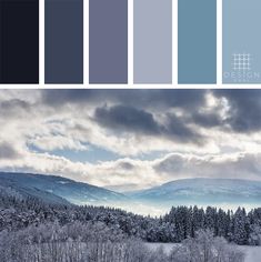 the color palette is blue and gray with snow on the trees in the foreground