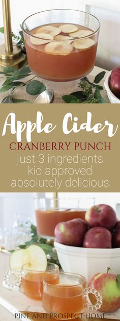 apple cider cranberry punch just 3 ingredients and you'll love it