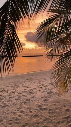 the sun is setting on the beach with palm trees