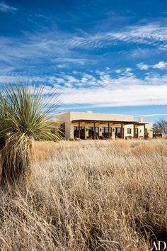 the desert house is surrounded by tall grass