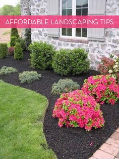 landscaping tips that are easy to do in the front yard or garden area, including shrubs and flowers