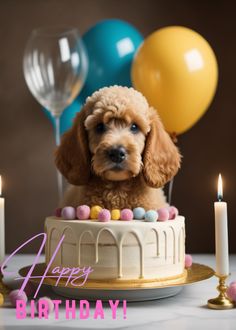 a dog sitting on top of a birthday cake with balloons and candles in the background