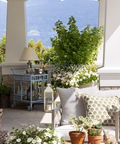 an outdoor patio with potted plants and flowers on the table, next to a fireplace