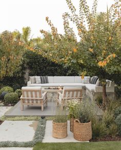 an outdoor living area with couches and plants