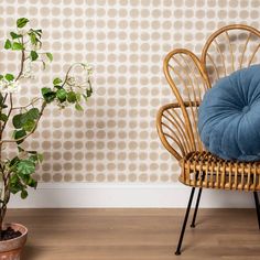 a wicker chair with a blue cushion next to a potted plant on the floor