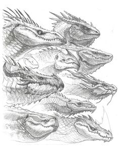 three alligators are depicted in this drawing