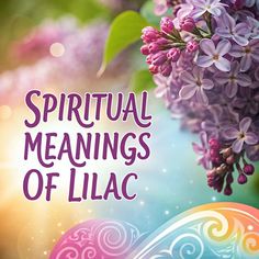 an easter card with lilacs and the words,'spirit meaningss of lilac '