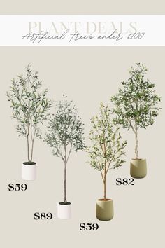 four different types of trees are shown in the price guide for each tree, from $ 59 to $ 69