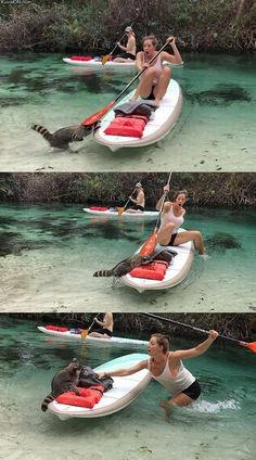 two women are riding on paddle boats in the water