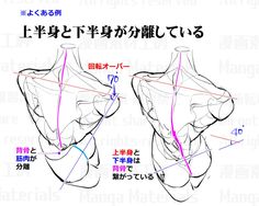 an image of the human body in chinese