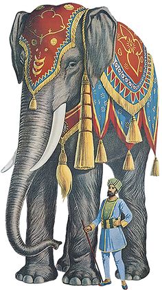 an elephant is standing next to a man