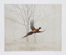 a painting of a pheasant flying in the air