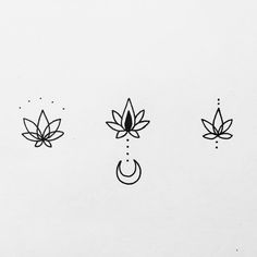 three different types of leaves on a white paper with dots and circles in the middle