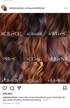 Shades Eq Red Violet Formula, Carmel And Red Lowlights On Brown Hair, Redken Cherry Cola Hair Color, Auburn Hair Formula, Copper Formula, Redken Color Formulas, Golden Copper Hair Color