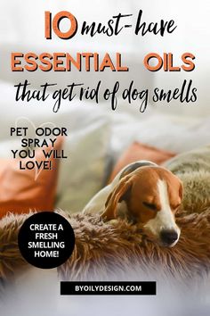 a dog sleeping on top of a bed with the words 10 must have essential oils that get rid of dog smells