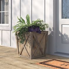 a potted plant sitting on top of a wooden floor next to a door way