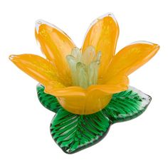 a yellow flower sitting on top of a green leaf