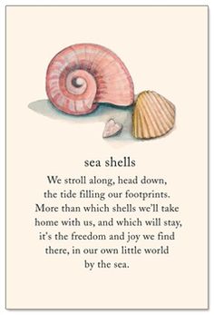 a card with an image of two seashells on it