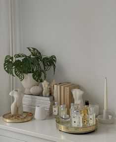 a white dresser topped with lots of bottles and vases next to a potted plant