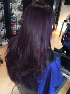 Dark Purple Over Brown Hair, Dark Purple Layered Hair, Violet Tinted Hair, Black Hair Undertones, Berry Brown Hair Color Purple, Purple Layers Hair, Dark Purple Undertone Hair, Hair Colour Purple Dark, Rich Purple Hair