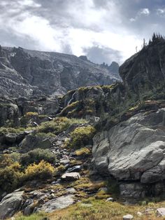 a rocky mountain with trees and bushes growing on it