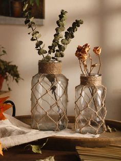 two glass jars with plants in them sitting on a table