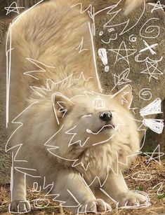 a white dog laying on the ground next to a stone wall with writing all over it