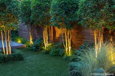 an outdoor garden with trees and plants lit up by lights in the night time, surrounded by greenery